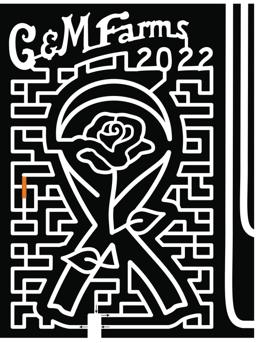 22_CA_Livermore Rose Ribbon Cancer Awareness