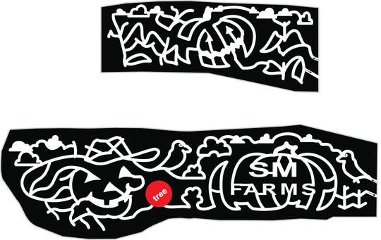 22_GA_Cleveland pumpkin Jack-o-Lantern Bird Clouds Scarecrow