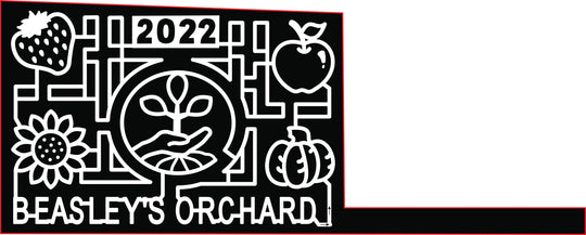 22_IN_Danville Strawberry Flower Pumpkin Apple Hand Plant