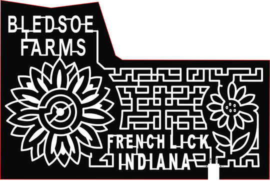 22_IN_French Lick Sunflower