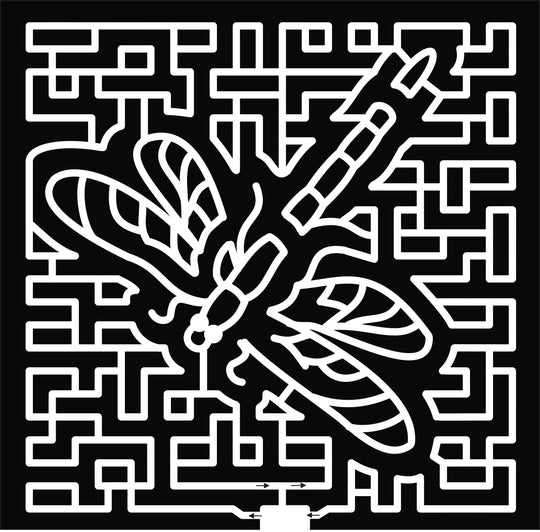 22_MN_Savage Dragon Fly