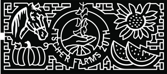 22_MO_Jefferson City Horse Pumpkin Flower Watermelon 20th Hand Plant