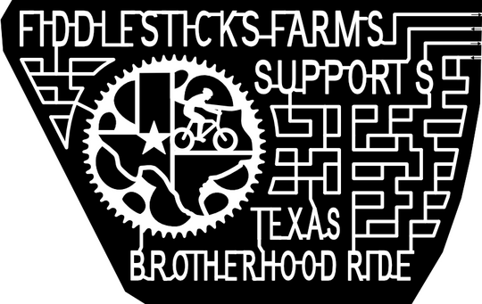 22_TX_Midland bike, texas, brotherhood, state, gear, star