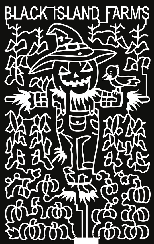 22_UT_Layton scarecrow, farm, halloween, bird, corn, pumpkin