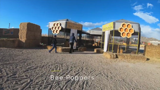 Bee Ball Air Poppers