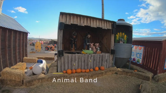 Animal Band
