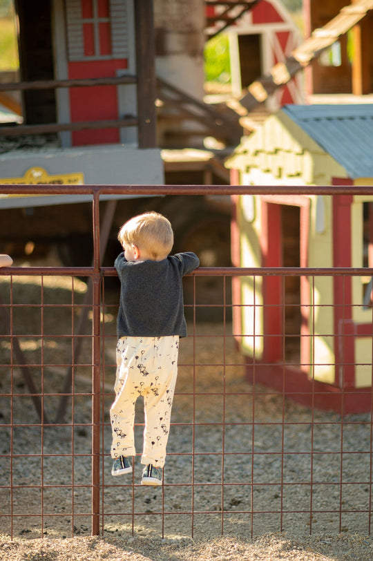 Animal Corral_Little Boy_on Goat Fence_RJ.jpg