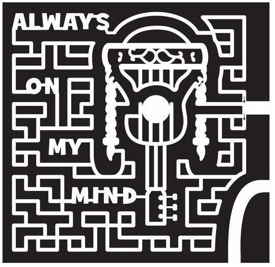 Bastrop Texas TX 2013 Guitar, instrument, Music, musician, willie nelson, braid, famous, celebrity, mind, always.jpg