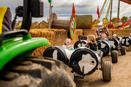 Cow Train_Girls_Laughing_RJ.jpg