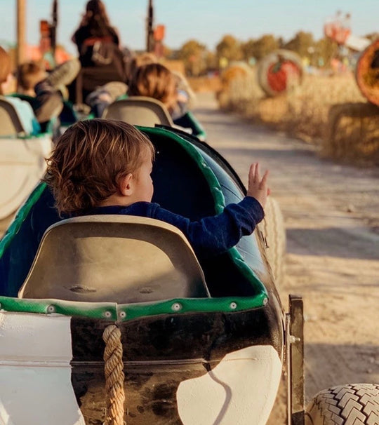 Cow Train_Kid_Waving Goodbye.jpg