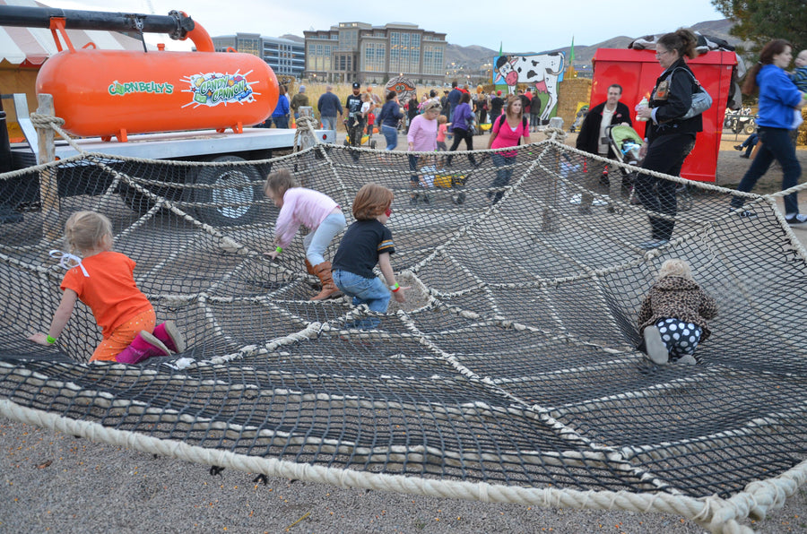 Spider Web - The MAiZE