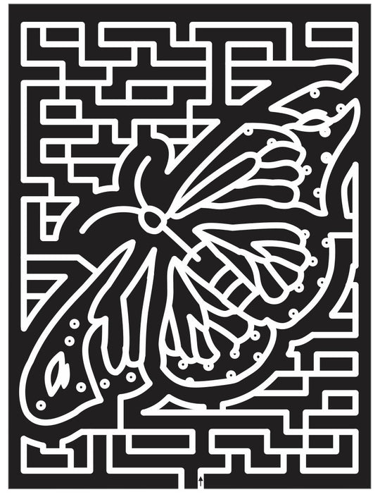 Dillsburg Pennsylvania PA 2013 Butterfly, insect, Wings.jpg