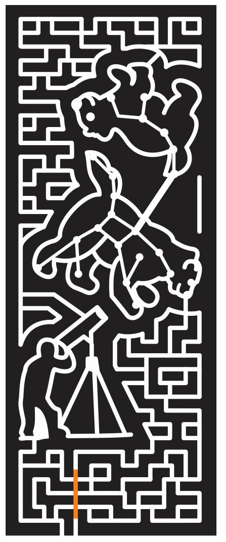 Fallon Nevada NV 2013 Bear, constellation, star, telescope, astronomy, stargazing, stargaze.jpg