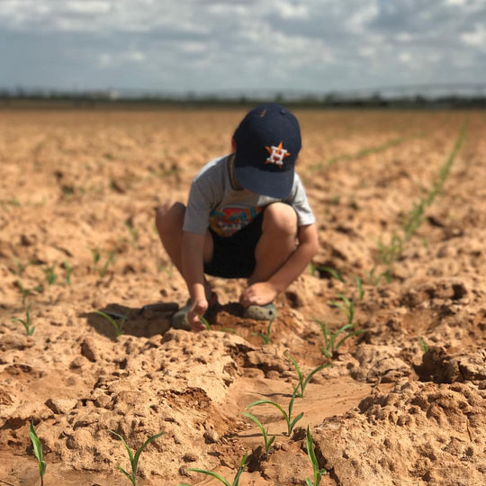 Farm_Boy_Planting Corn_sprouts.jpg