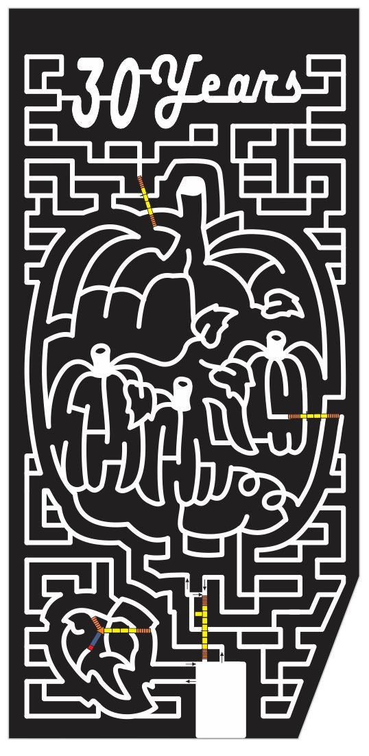 Fredricksburg Virginia VA 2013 Pumpkin, Leaf, Leaves, Pumpkins, Years.jpg