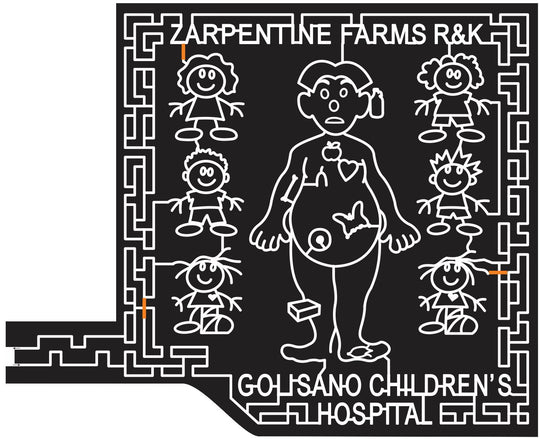 Hilton New York NY 2013 Game, Butterfly, Apple, Heart, Children, Child, Kid, hospital, operation, medical, stick, figure, Zarpentine, golisano, children's.jpg