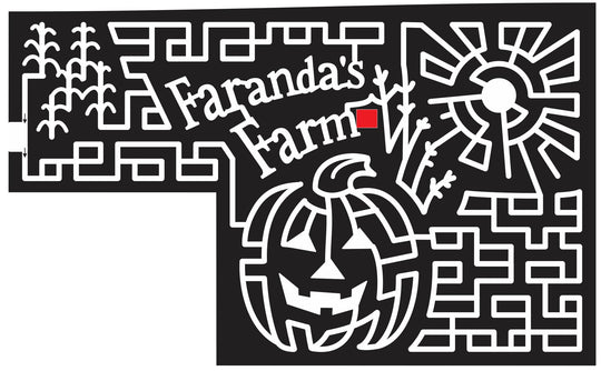 Hollsopple Pennsylvania PA 2013 Corn, Sun, Pumpkin, farm, jack o'lantern, Wheat, Stalk, faranda.jpg