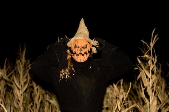 Insanity Point_Pumpkin Scarecrow.jpg