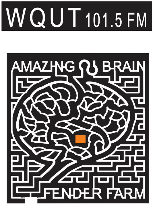 Jonesborough Tennessee TN 2013 brain, human, body, organ, farm, Radio, sponsor, amazing, fender, wqui.jpg