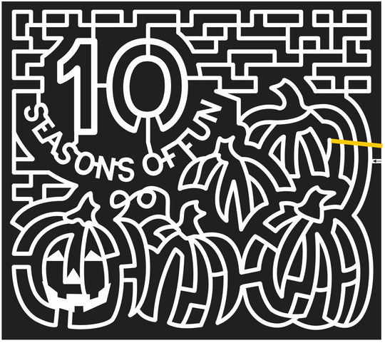 Lancaster Wisconsin WI 2013 Pumpkin, jack o'lantern, seasons, Pumpkins, 10.jpg