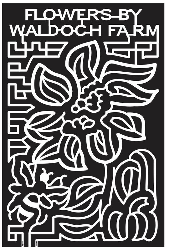 Lino Lakes Minnesota MN 2013 Flower, Bee, plant, Pumpkin, insect, farm, waldoch, leaf, stem.jpg