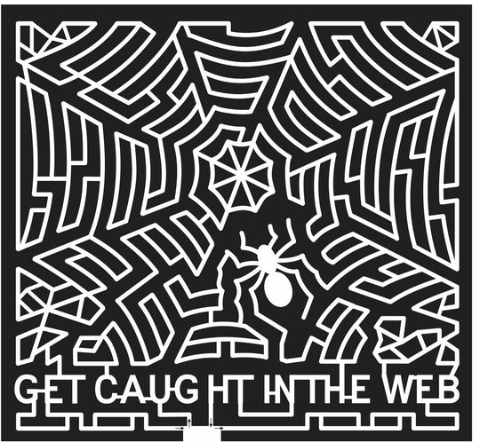 Mandon North Dakota ND 2013 spiderweb, Spider, web, caught, halloween.jpg