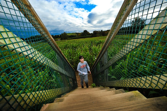 Maze_Boy_climbing stairs.jpg