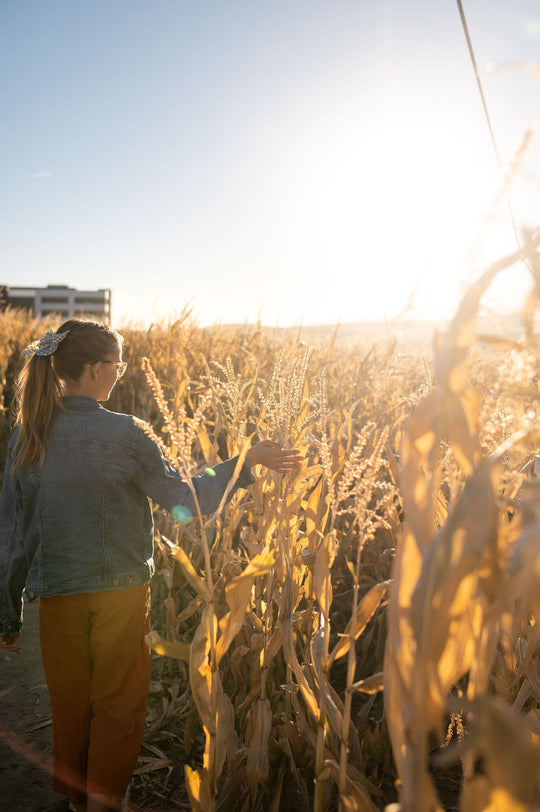 Maze_Girl_Walking Sunlight 3_RJ.jpg
