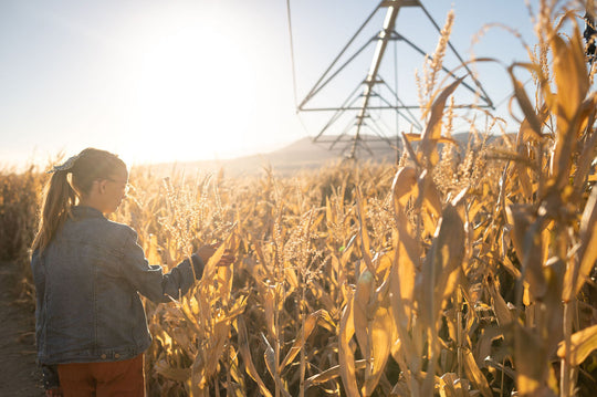 Maze_Girl_Walking Sunlight 4_RJ.jpg