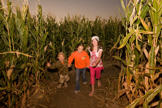 Maze_Kids_Running Smiling Ashlyn JD.jpg