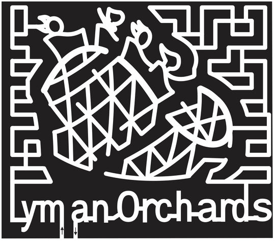 Middlefield Connecticut CT 2013 kiddie maze, roller coaster, fun, amusement, lyman, Kids, coaster .jpg