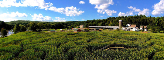 Owen Cooper 2015 Aerial farm sky corn maze blue photo farm.jpg