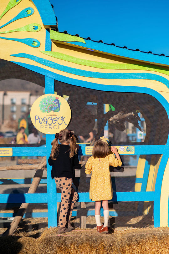 Peacock Perch_Girls_Looking In 1_RJ.jpg