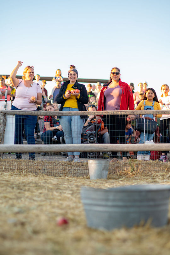 Pig Race_Challenge_Apple Toss 2_RJ.jpg