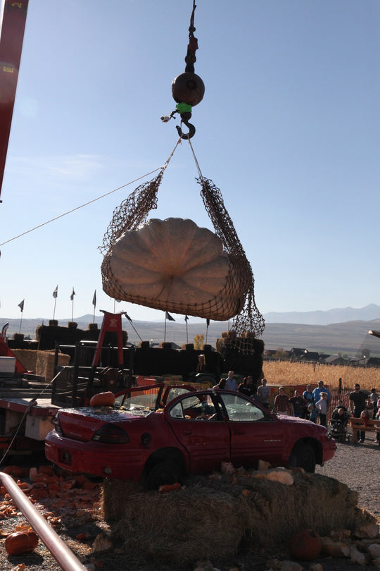 Pumpkin Drop_Giant_Car smash.jpg
