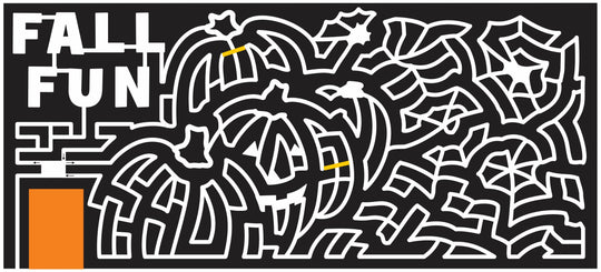 San Luis Obispo California CA 2013 Pumpkin, jack o'lantern, spiderweb, web, Fall, fun, Halloween, pumpkin.jpg