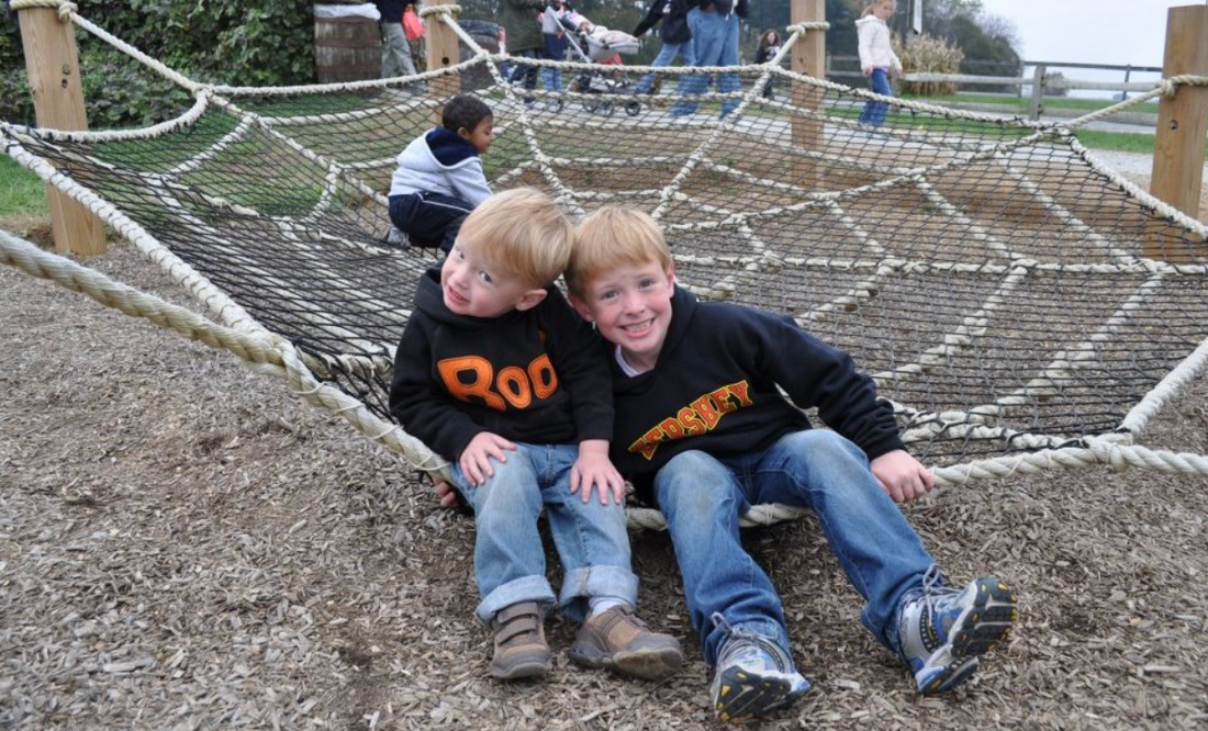 Spider Web - The MAiZE