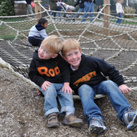 Spider Web - The MAiZE