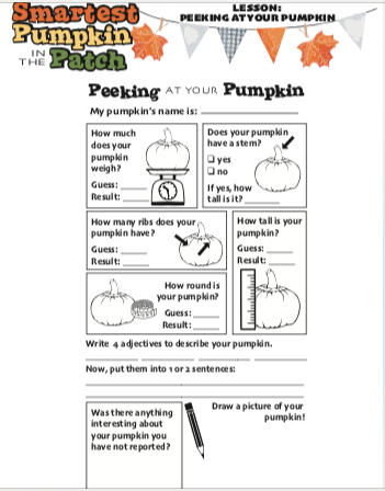 Pumpkin Curriculum Materials - The MAiZE