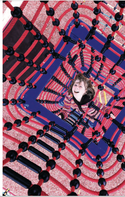 NetForm Square Chimney Climber