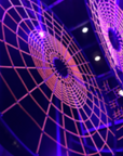 Netform Spider Web