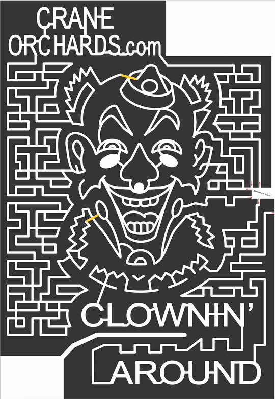 10_MI_Fennville 2010, Clown, circus, Person, People, Michigan, face