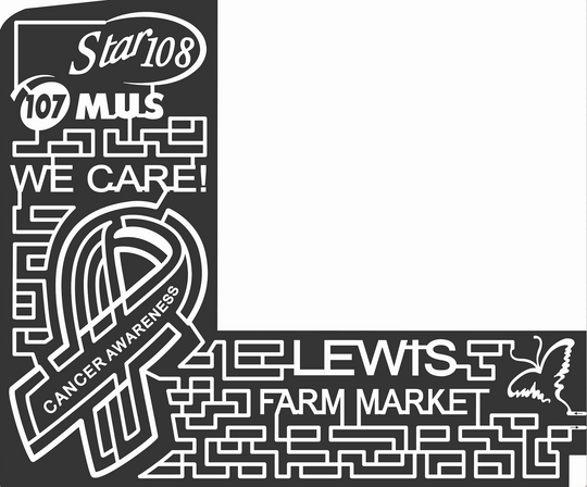 10_MI_NewEra 2010, star, Cancer, Awareness, Ribbon, Butterfly, logo, lewis, Michigan, star108