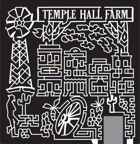 15_VA_Leesburgh 2015, Virginia, Leesburg, Temple Hall Farm, Windmill, Wild West, Cowboy, Cactus, tumbleweed, wagon wheel, ranch, sign, building, buildings, western, saloon, clouds, wood