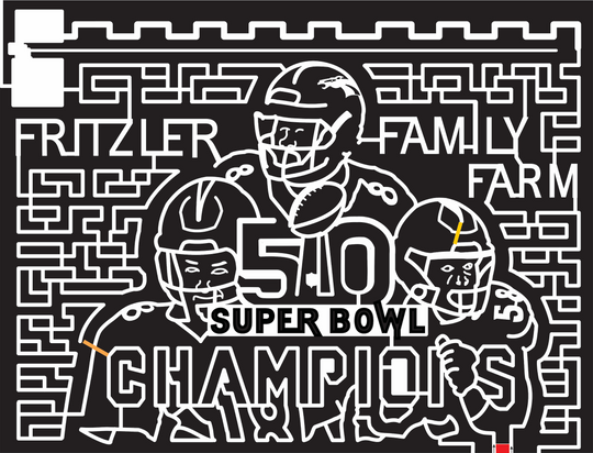 16_CO_LaSalle, 2016, Colorado, football, sports, broncos, denver, helmet, football, logo, super bowl, trophy, Fritzler farm, champion