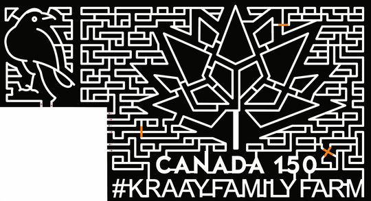 2017  17_AB_Lacombe, canada, 150, leaf, bird, crow.jpg