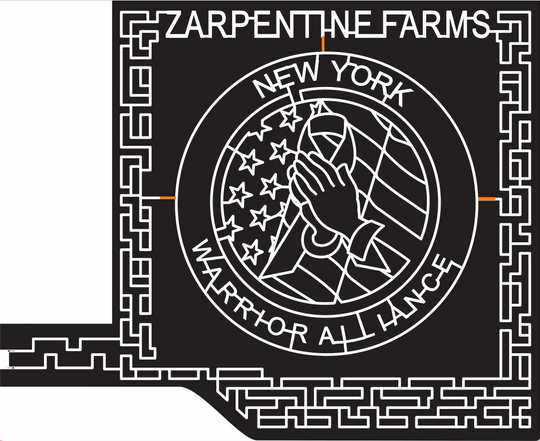 16_NY_Hilton, 2016, New York, flag, hands, ribbion, warrior alliance, praying hands