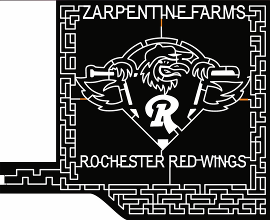 2017 17_NY_Hilton, red wings, hockey, sports, bird, rochester, baseball.jpg