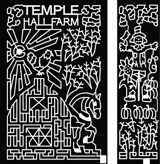 2017 17_VA_Leesburgh, horse, barn, sun, chicken, rooster, corn, plants, grass, scarecrow, bird, flower, pumpkin.jpg