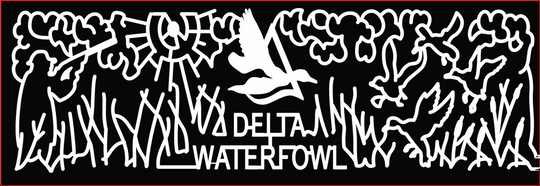 2017 17_VA_Somerset, airplane, plant, bird, eagle, air ballon, ballon, rocket, space ship, plane, figher plane, helicopter.jpg